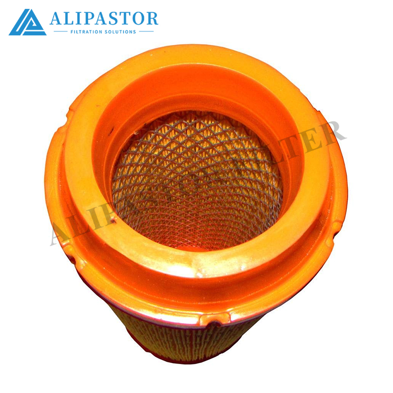 5501660957 Air Filter Replaces SCHAEFER